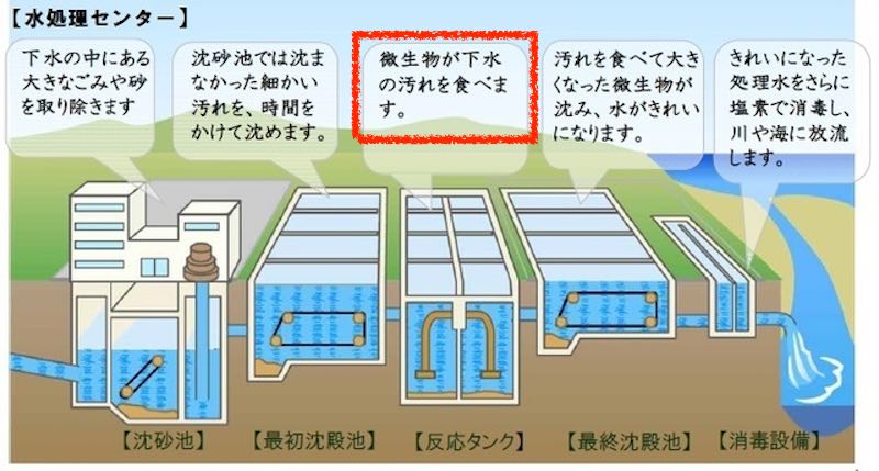 下水処理の仕組み 八代市キッズサイトより